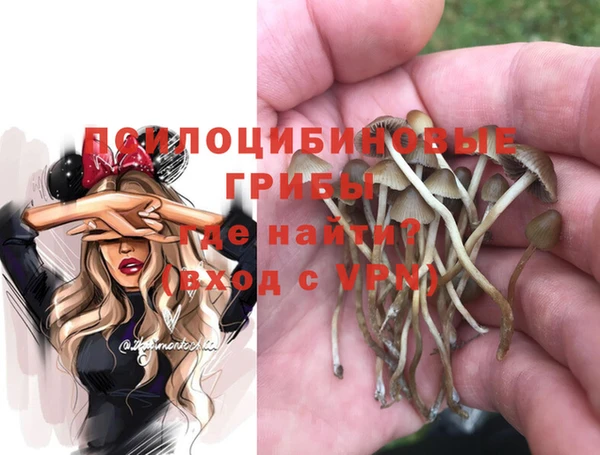 дмт Армянск