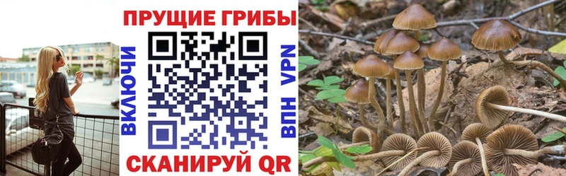 Галлюциногенные грибы MAGIC MUSHROOMS  Купить  Слободской 